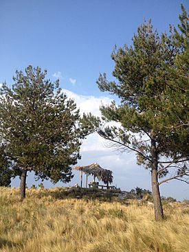 Cerro Xalapasco cima.jpg