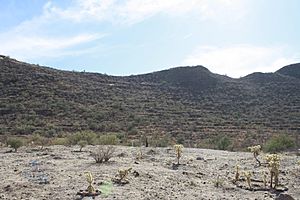 Archivo:Cerro de Trincheras