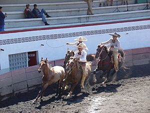 Archivo:Charros competing in a charreada in Mexico