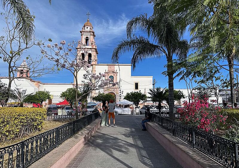 Cocula (20240325)3