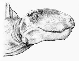 Archivo:Dimetrodon limbatus