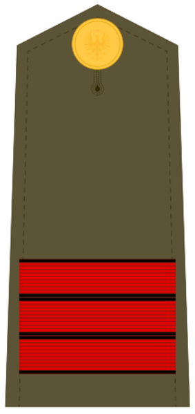 Ejerespadivi03
