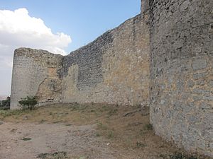 Archivo:Entrada original al primer recinto del castillo de Puebla de Almenara. Cuenca
