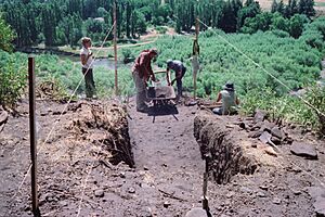 Archivo:Excavación Chenque Haichol 10