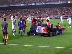 Archivo:FC Barcelona-SV Werder Bremen 5dec2006