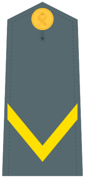 Guardiacivildivi35