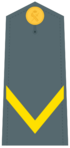 Cadete de 1º