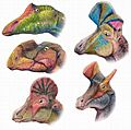 Hadrosauroids