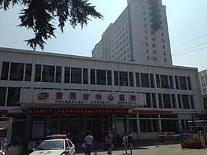 Archivo:Huanggang Central Hospital 20140906