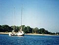 Isladelobos 1994