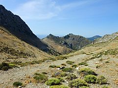 Landschaft in Andalusien28