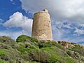 Las Palomas Tower