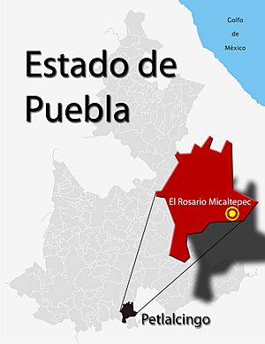 Archivo:Localización-El Rosario Micaltepec