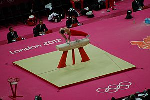 Archivo:Men Gymnastics qualification (2)