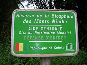 Archivo:Mount Nimba Strict Nature Reserve-108442