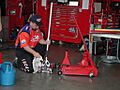 Nascarphx31