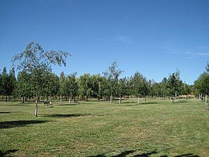 Archivo:Parque de La Eragudina