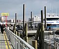 Pier 11 at Wall Street ferry