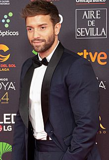 Premios Goya 2020 - Pablo Alborán (cropped).jpg