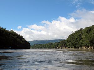 Archivo:Río Beni