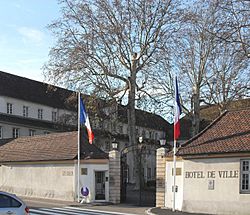 Rixheim, Entrée Hôtel de ville.jpg