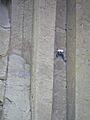 Rock Climber on the Devil's Tower, Wyoming