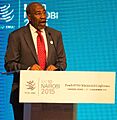 Ruhakana Rugunda 2015
