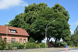 Schleswig-Holstein, Drage, Naturdenkmal NIK 8430.JPG