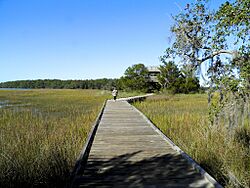 Skidaway Island SP - Big Ferry Trail - panoramio (3).jpg