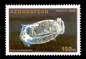 Archivo:Stamp of Azerbaijan 318