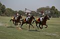 Tent pegging (montage)