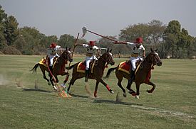 Tent pegging (montage).jpg