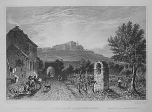 Archivo:Tombleson Johannisberg