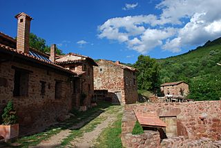 Turza - DSC 5755.jpg