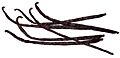 Vanilla 6beans (rot. 90 deg.)