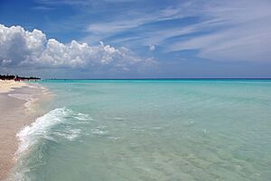 Archivo:Varaderobeach1