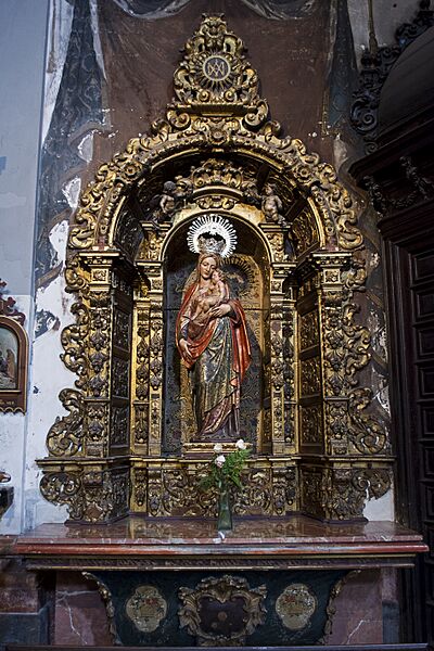 Virgen fiebres 2016001