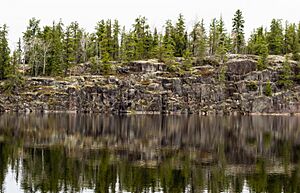 Archivo:Woodland Caribou Provincial Park