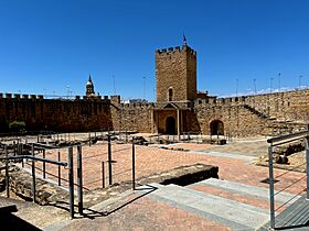 -i---i- (Arjonilla 53937137029).jpg