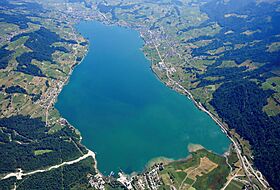 Aerial image of Lake Sarnen (view from the southwest).jpg