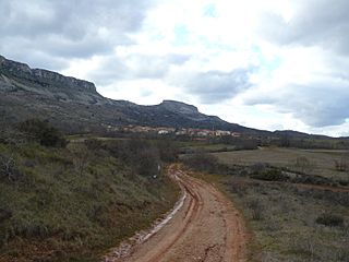 Ahedo20130220171129P1170102.jpg