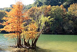 Archivo:Austin In The Fall (18956781)
