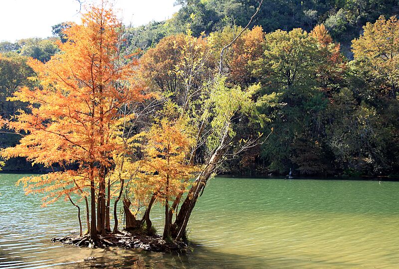 Austin In The Fall (18956781)