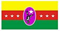 Bandera de Achaguas (Apure)