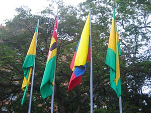 Archivo:Banderas en Bucaramanga