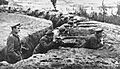 Battle of Niemen