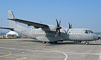 Archivo:C-295