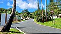 Carretera PR-790, Aguas Buenas, Puerto Rico