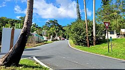Carretera PR-790, Aguas Buenas, Puerto Rico.jpg