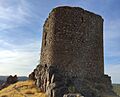 Castillo Encomienda Víboras